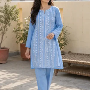 Elegant Sky Blue Embroidered 2 Piece Suit